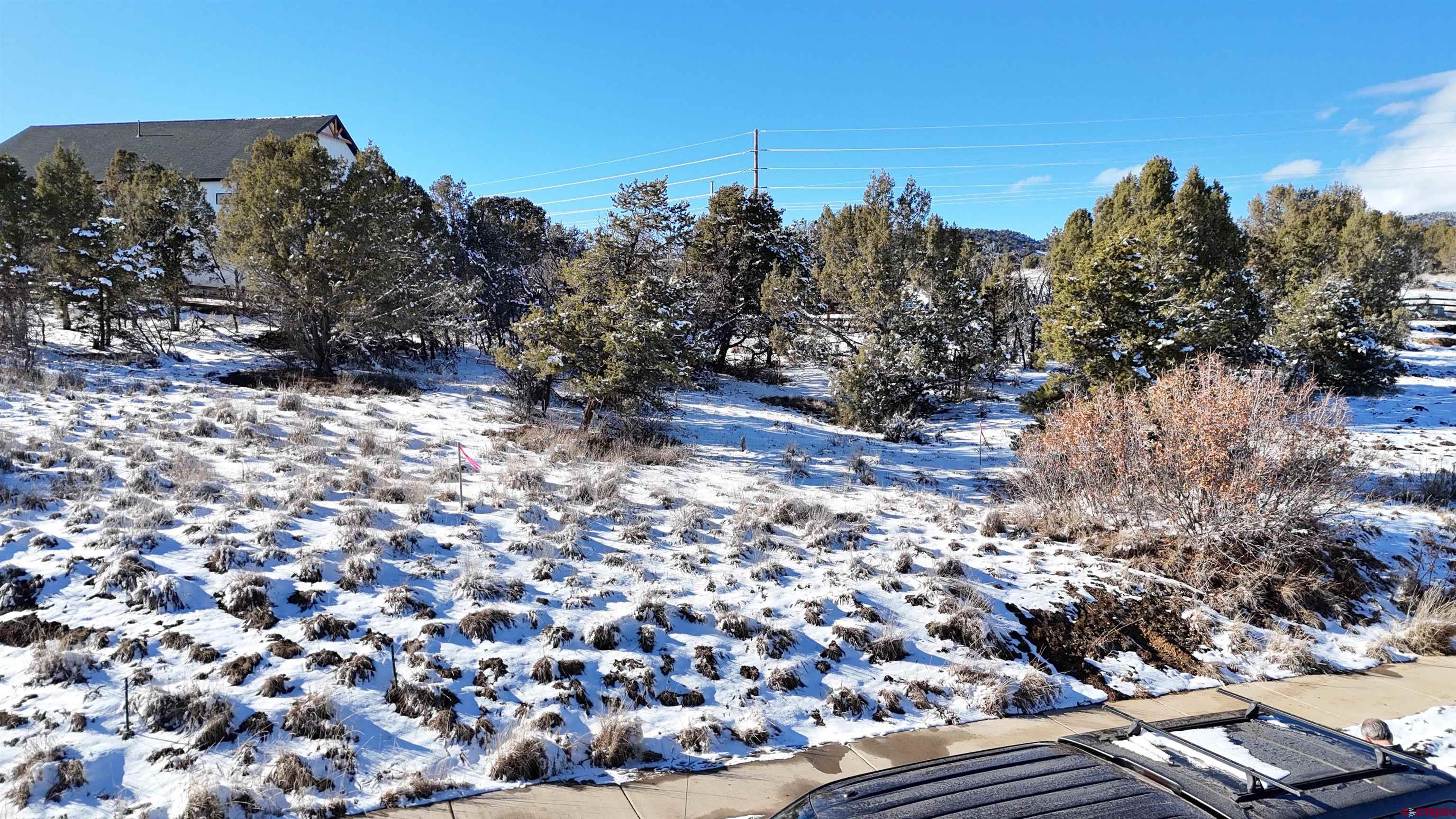 63 Salt Brush Street Durango, CO 81301 - Photo 13 of 25