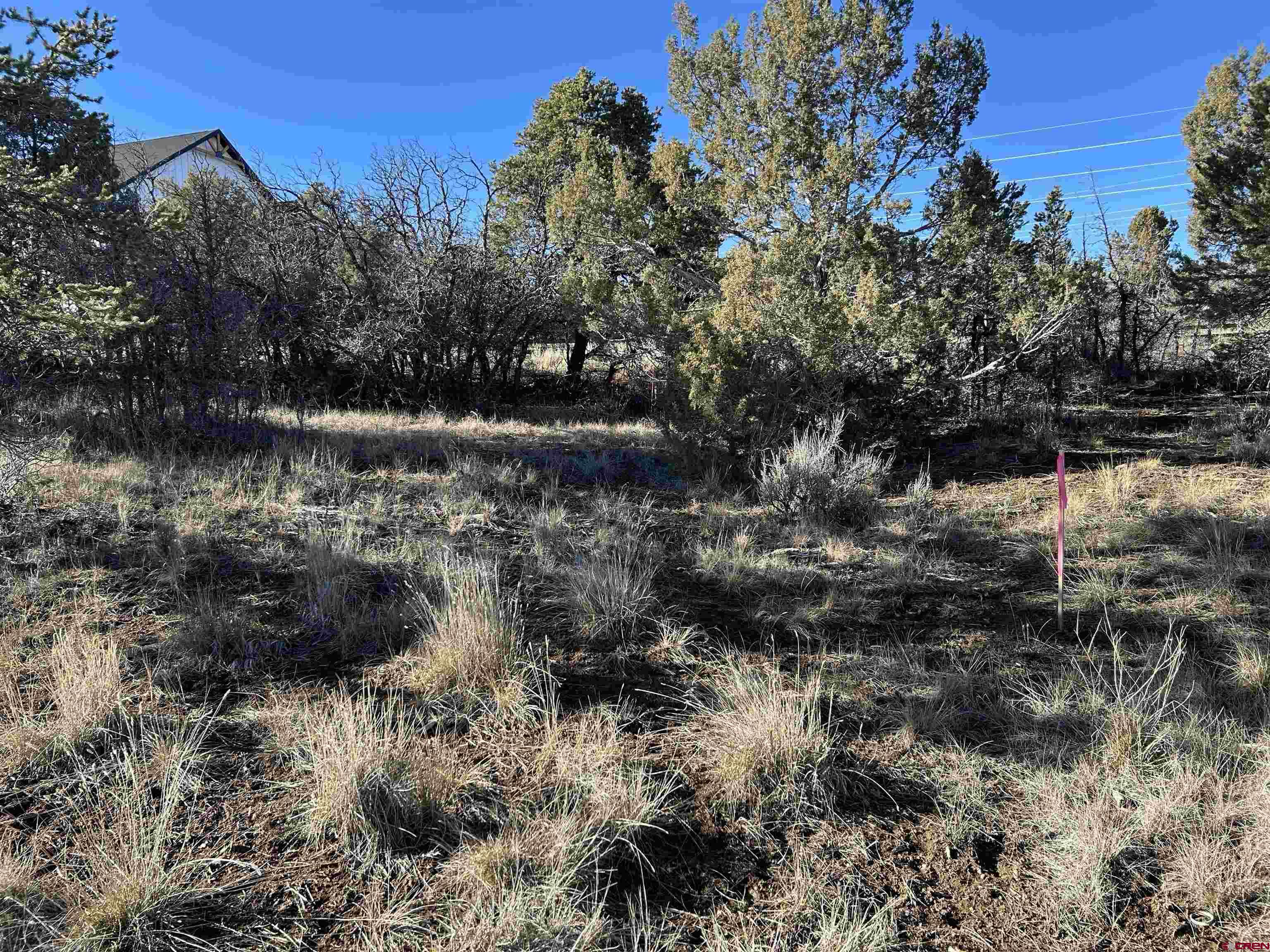 63 Salt Brush Street Durango, CO 81301 - Photo 18 of 25
