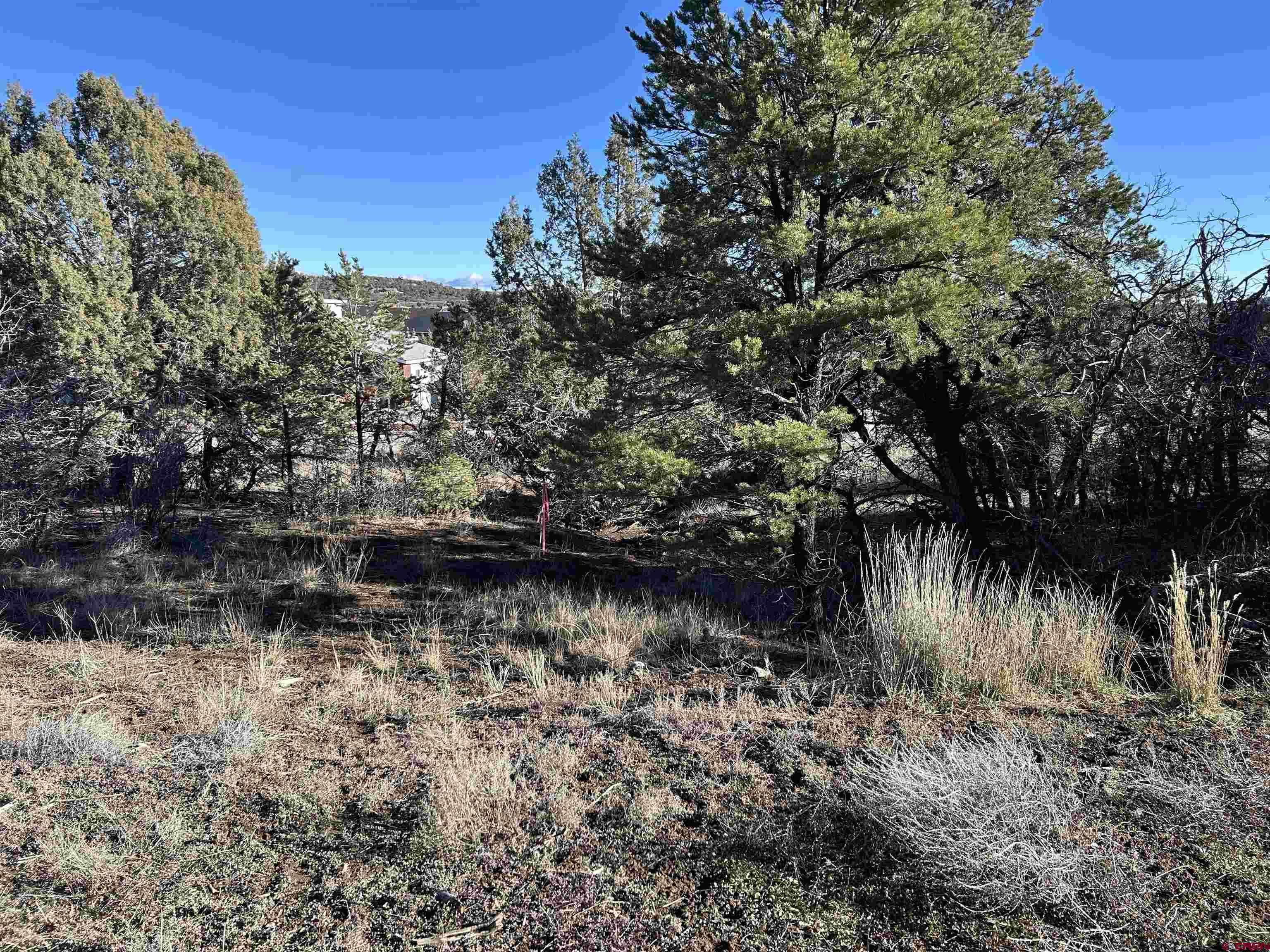 63 Salt Brush Street Durango, CO 81301 - Photo 19 of 25 a view of a lake with houses
