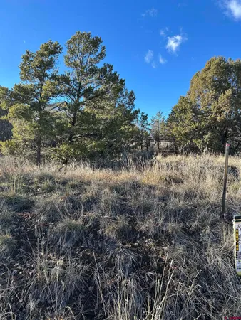 $157,500 | 63 Salt Brush Street, Durango, CO 81301