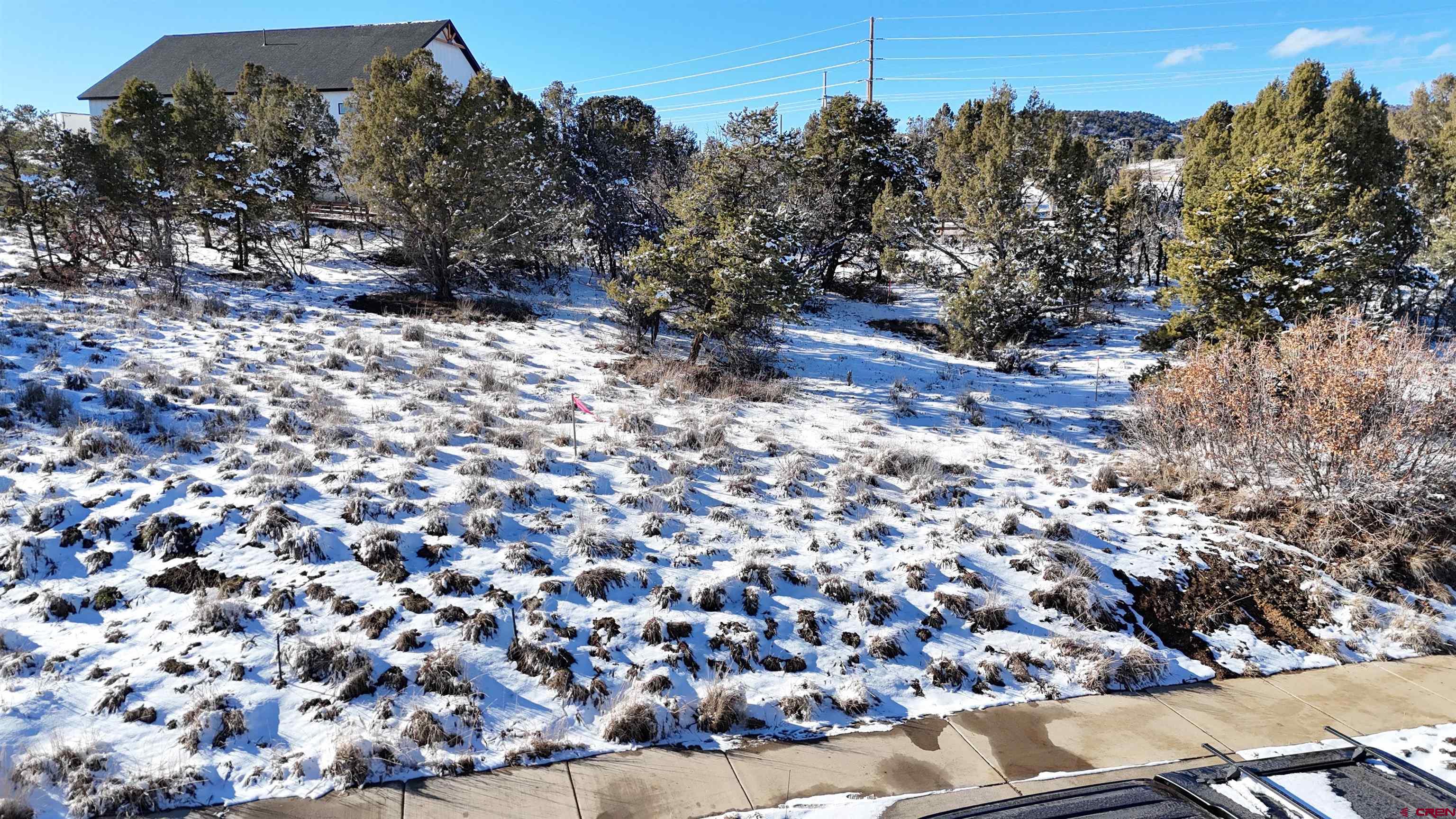 63 Salt Brush Street Durango, CO 81301 - Photo 21 of 25 a view of a tree in front of a yard