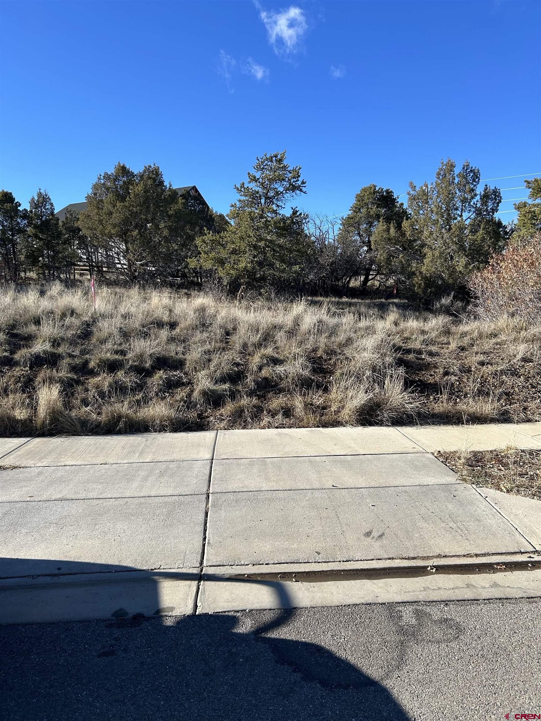 63 Salt Brush Street Durango, CO 81301 - Photo 22 of 25 a view of a lake from a yard