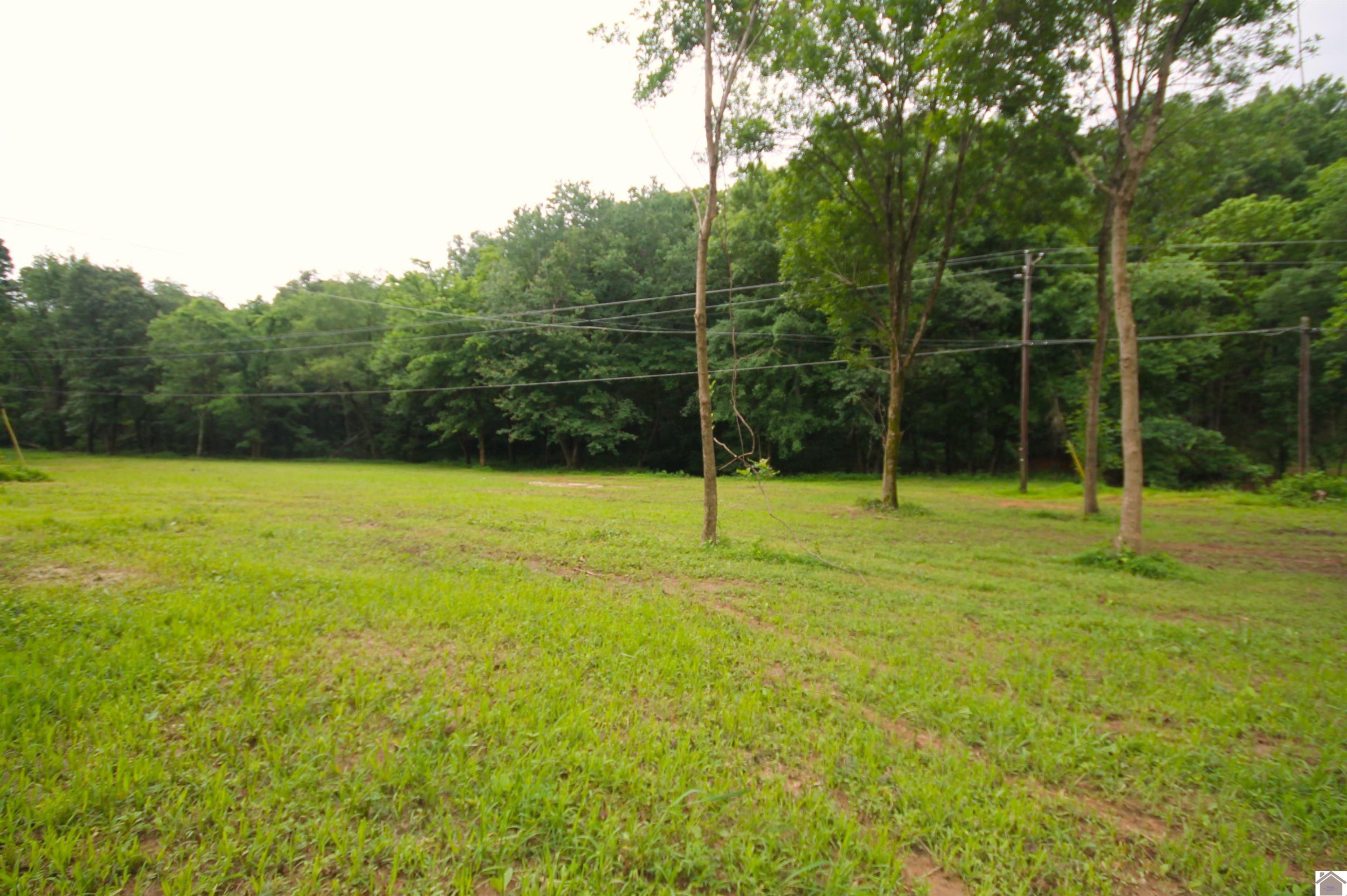 3245 Pottertown Road Murray, KY 42071 - Photo 1 of 4 Photo 1