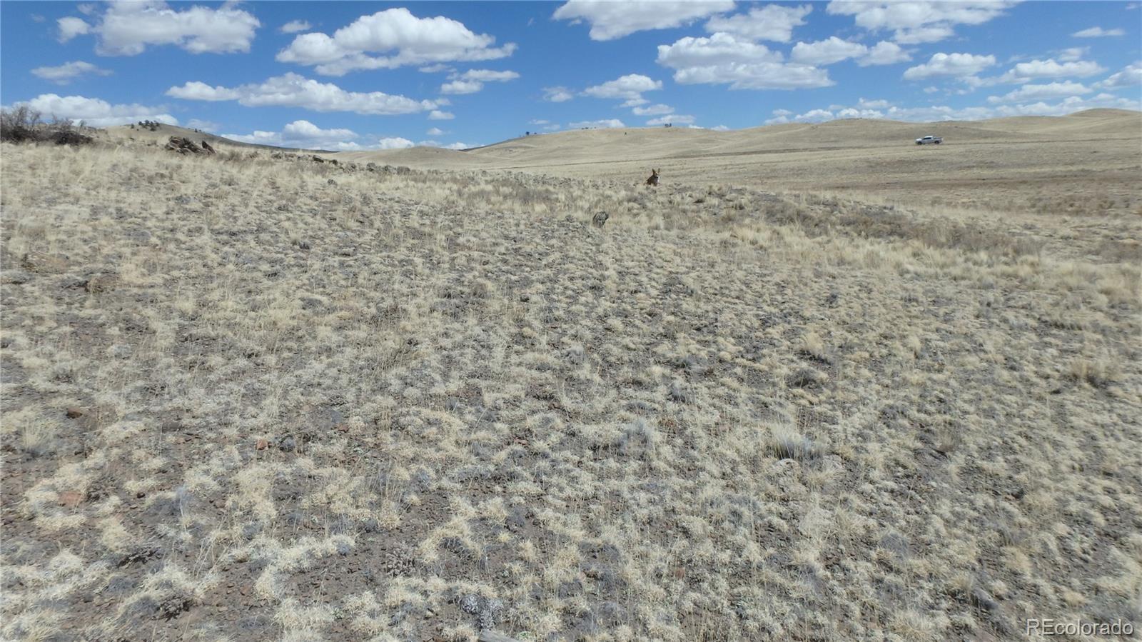 Seneca Road Hartsel, CO 80449 - Photo 6 of 10 a view of a dry yard with wooden floor