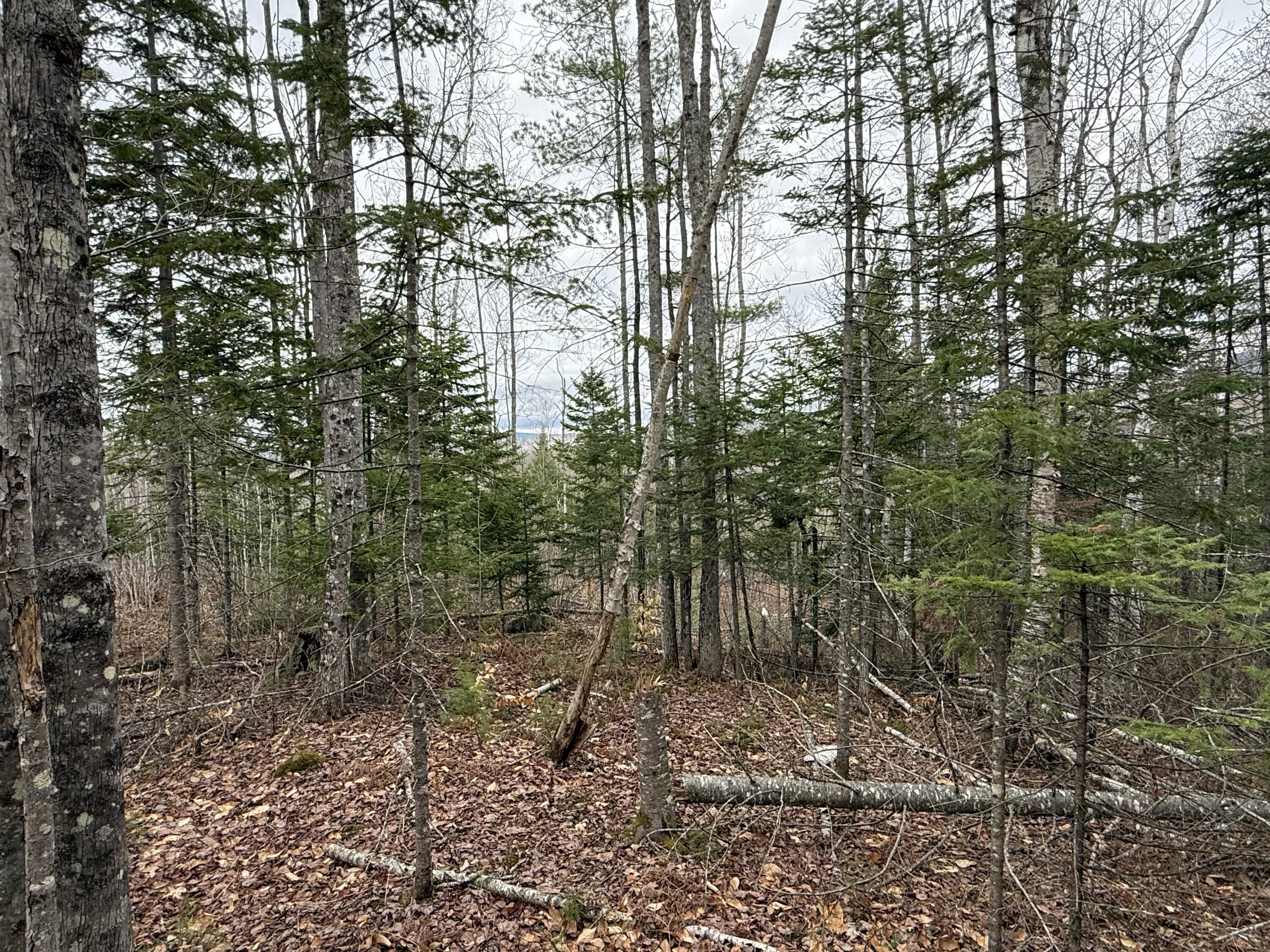 L12 Fuller Road Carthage, ME 04224 - Photo 4 of 10