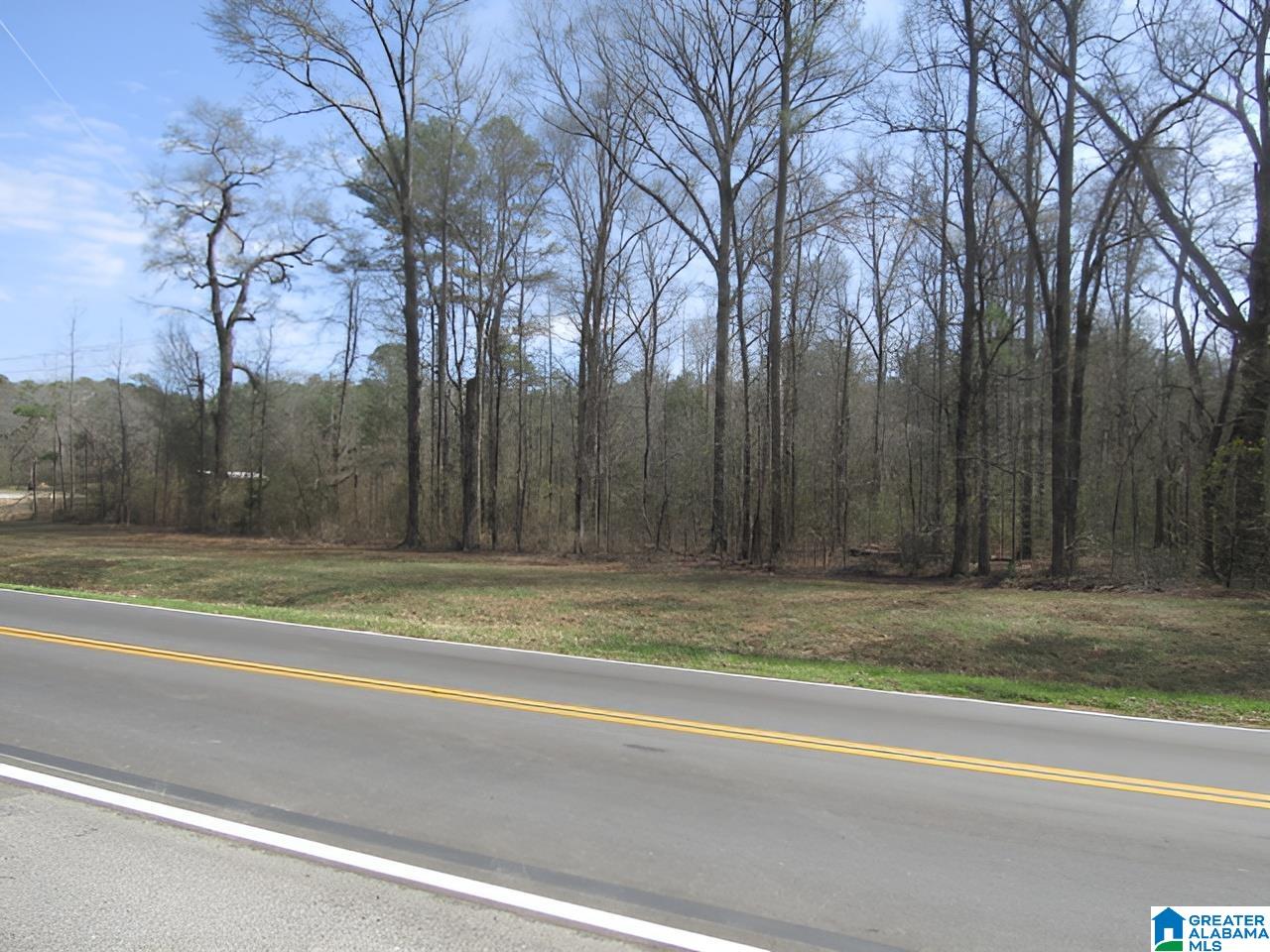 4429 Roy Webb Road Jacksonville, AL 36265 - Photo 3 of 26