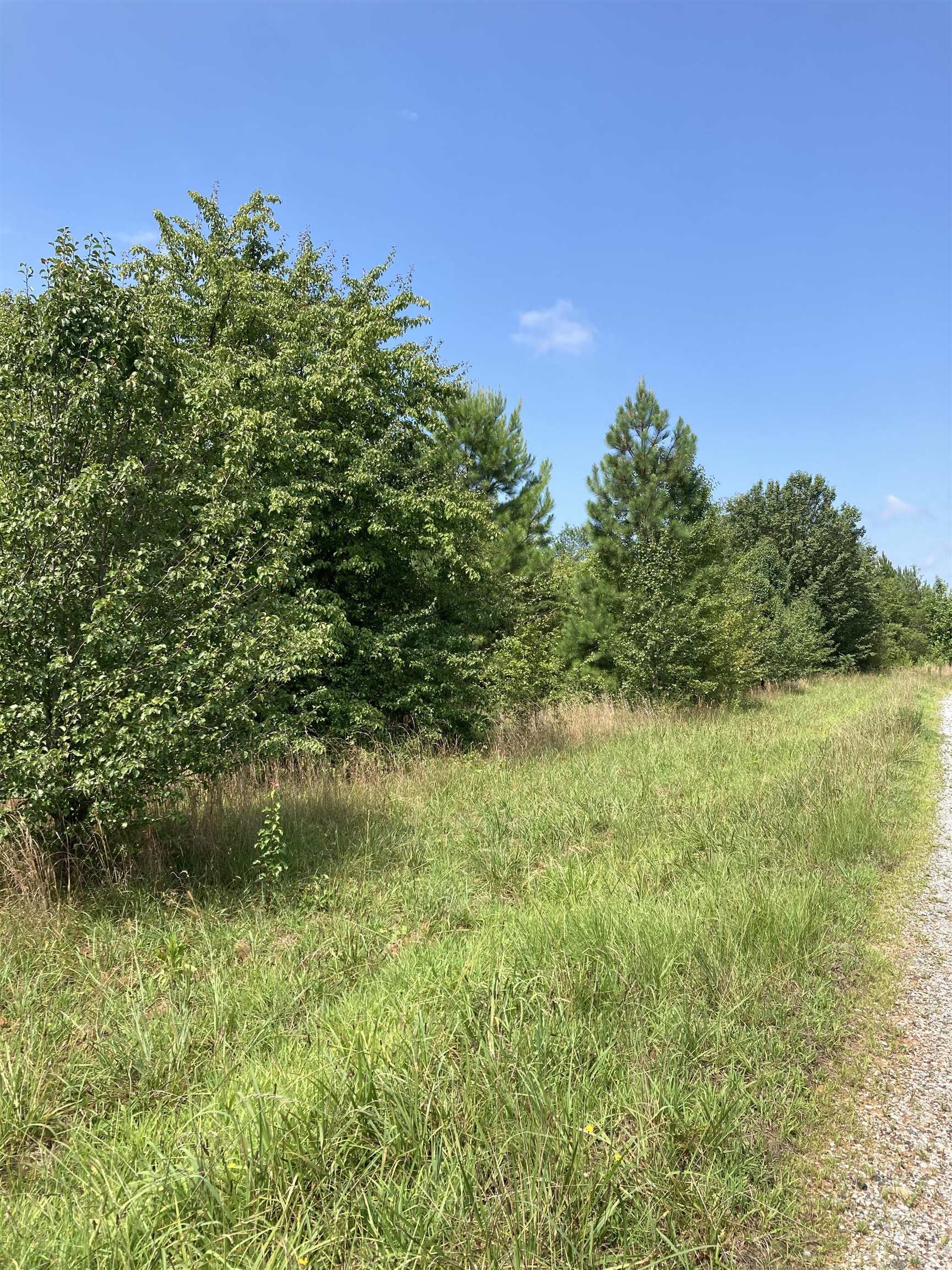 0 Champion Ferry Road Gaffney, SC 29341 - Photo 1 of 5
