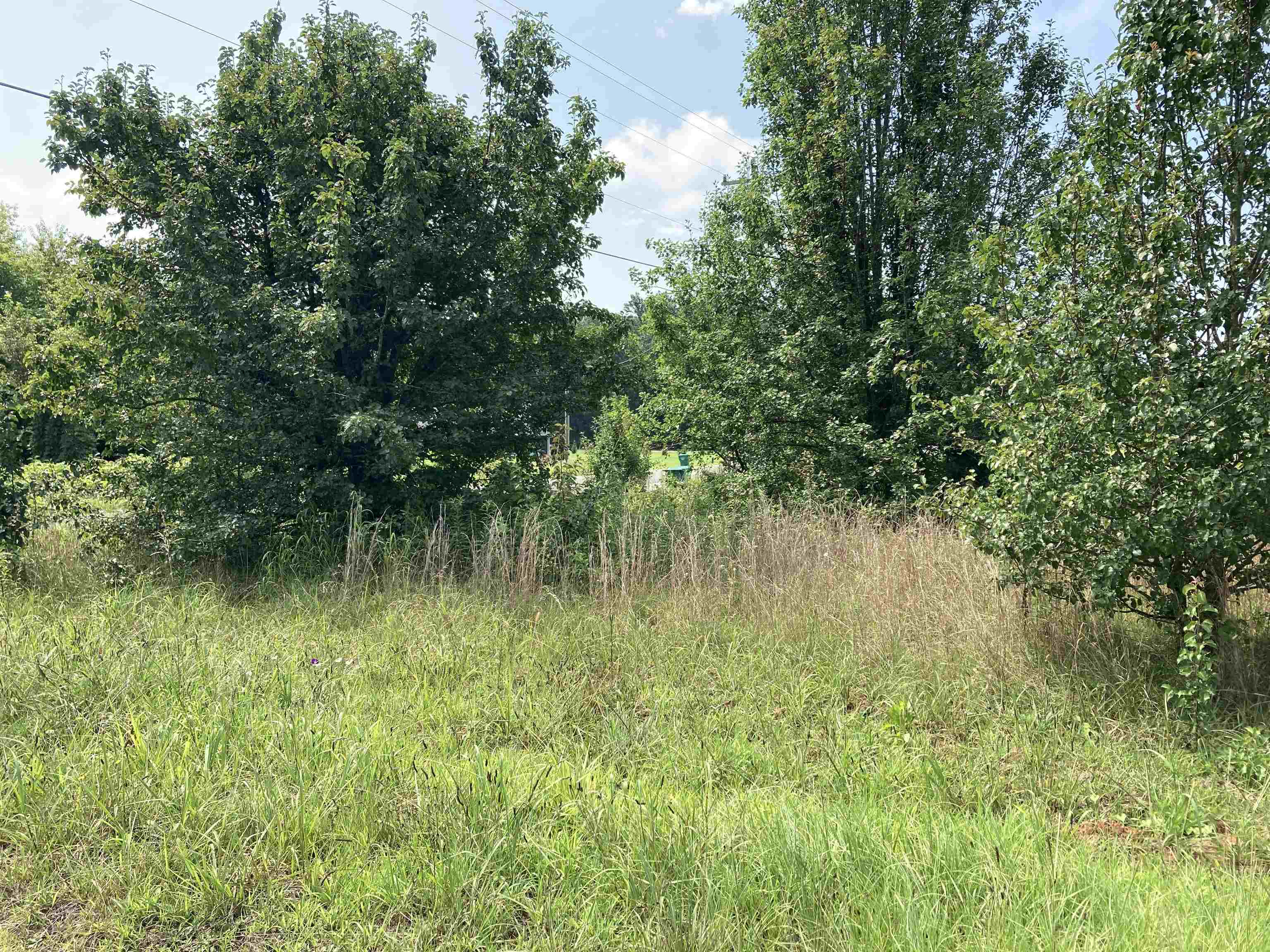0 Champion Ferry Road Gaffney, SC 29341 - Photo 2 of 5