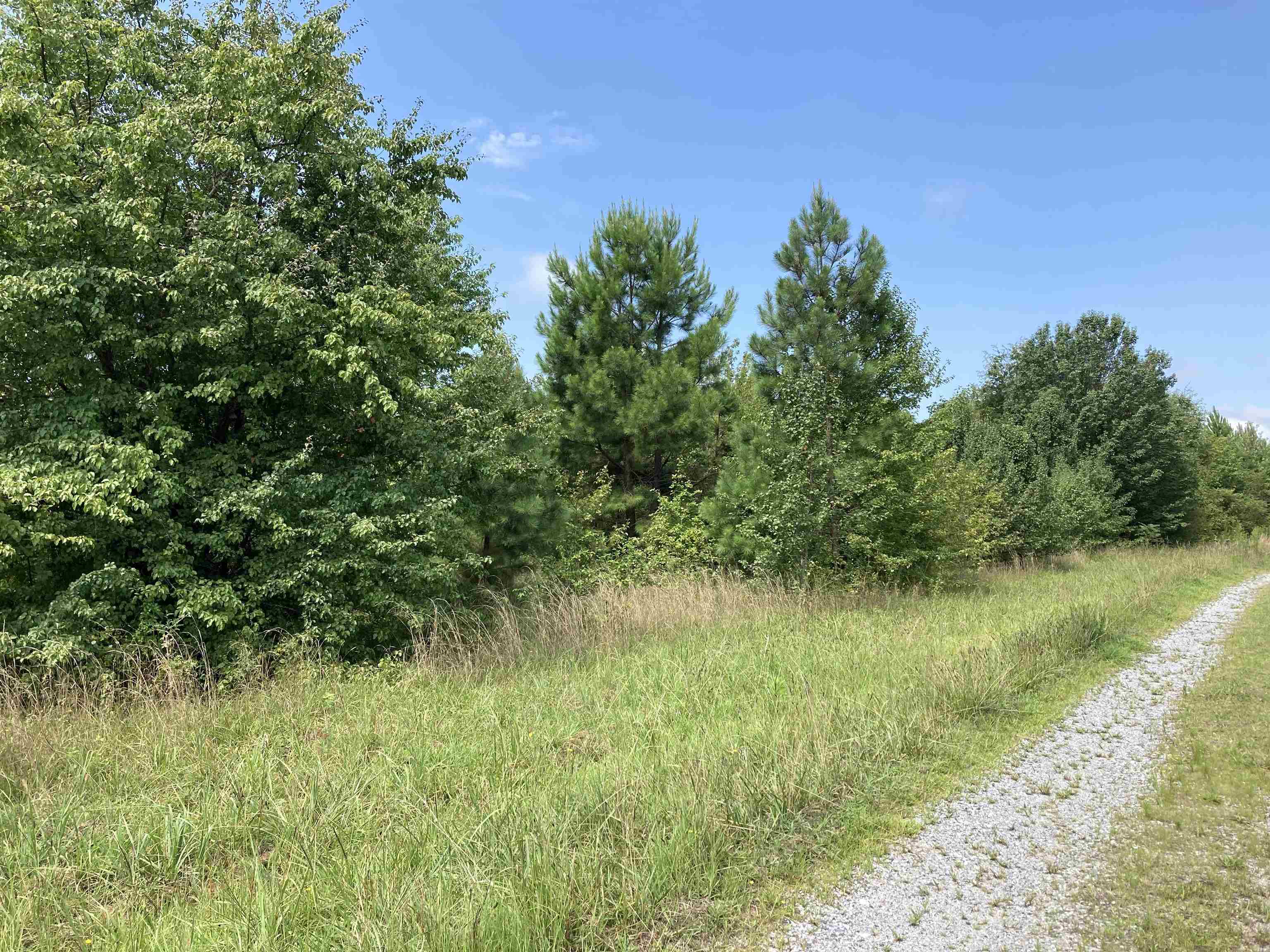 0 Champion Ferry Road Gaffney, SC 29341 - Photo 3 of 5
