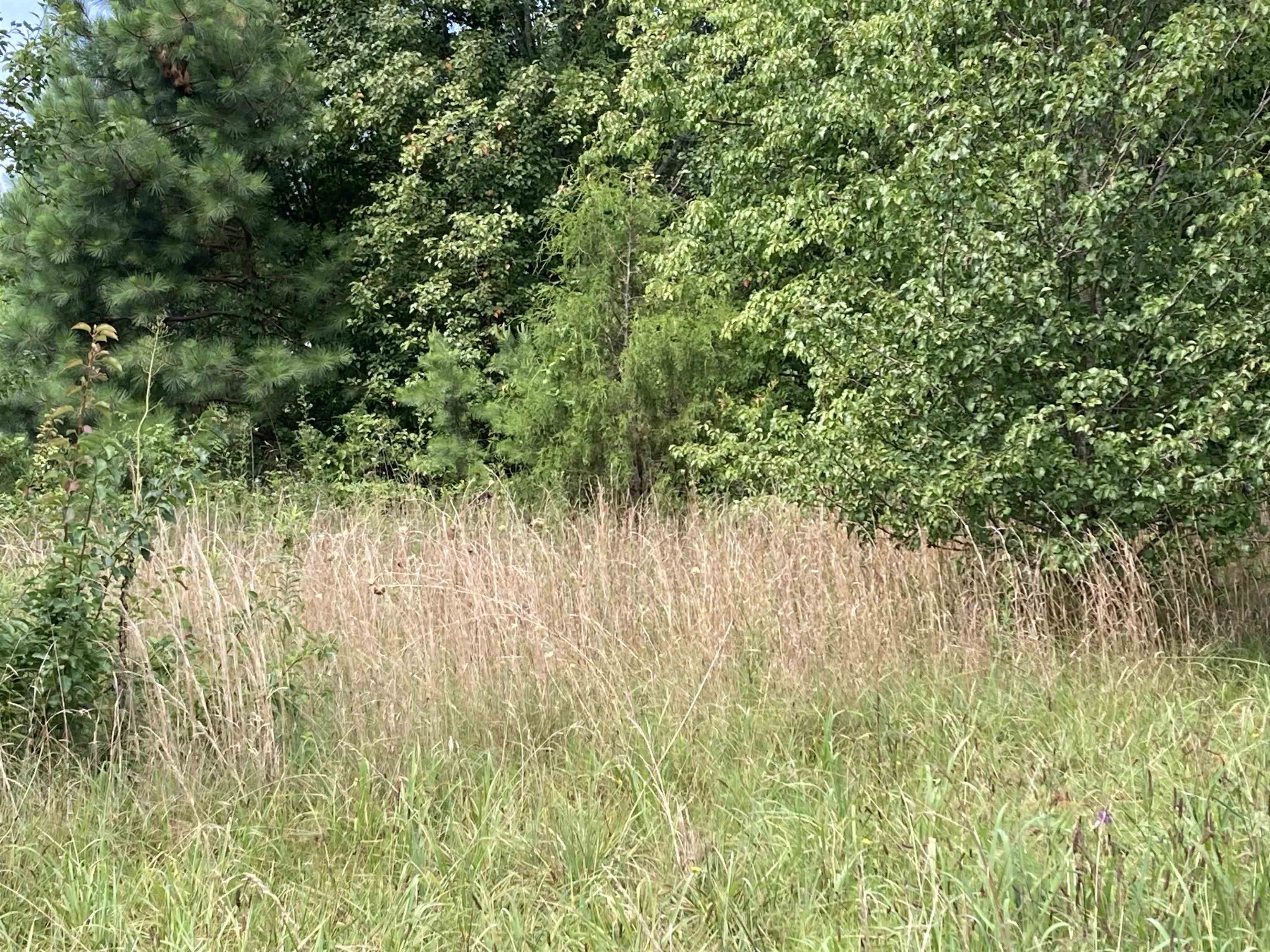 0 Champion Ferry Road Gaffney, SC 29341 - Photo 4 of 5