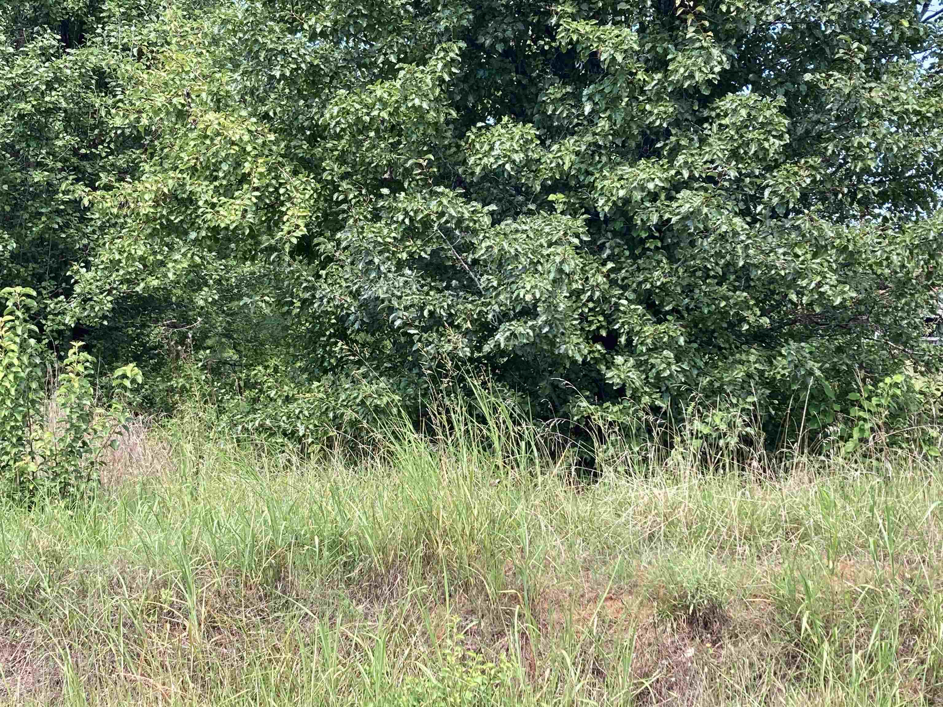 0 Champion Ferry Road Gaffney, SC 29341 - Photo 5 of 5
