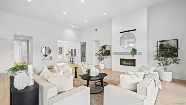 a living room with furniture a fireplace and a potted plant