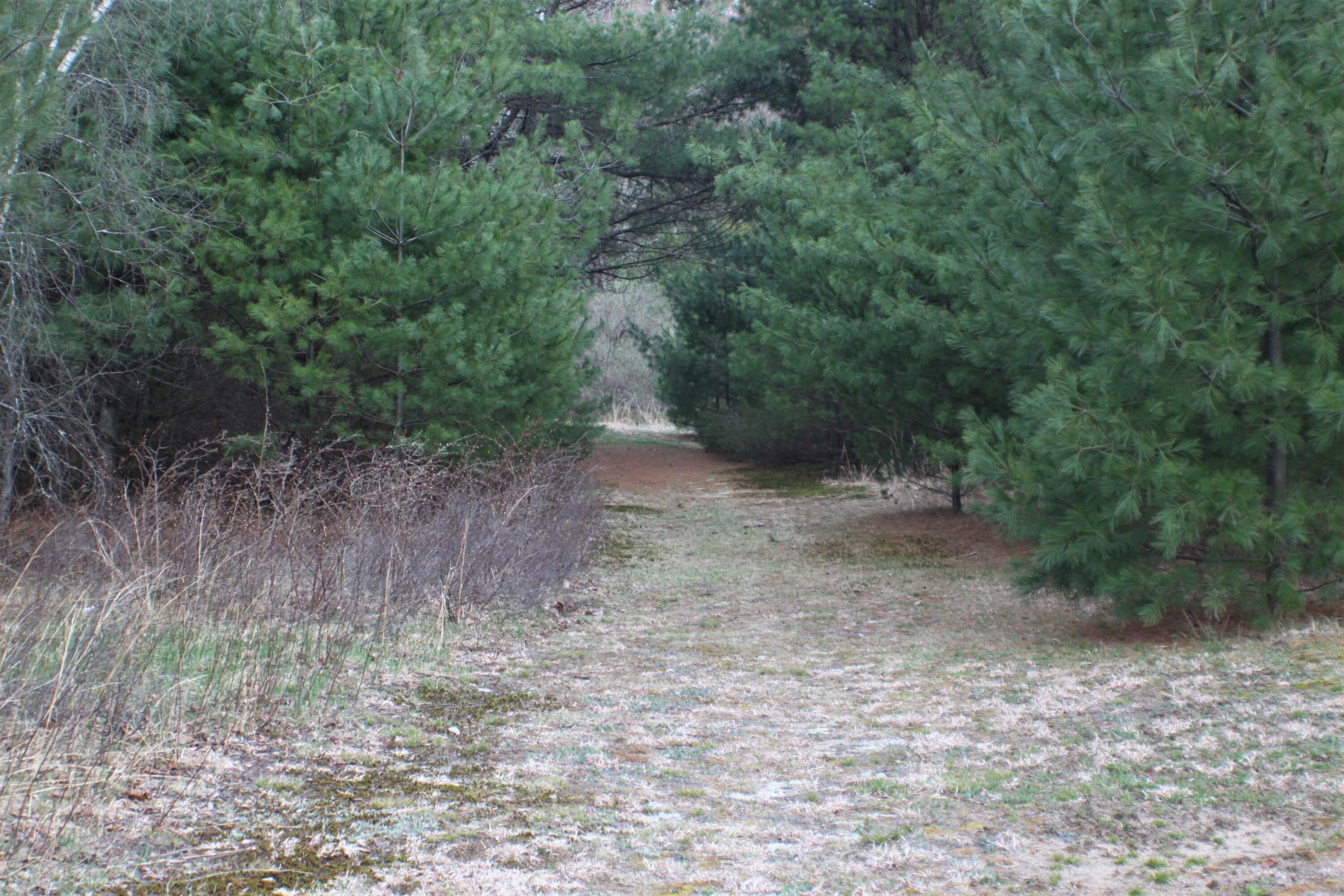 80 Main Street Waterboro, ME 04030 - Photo 9 of 45 Path to Pond