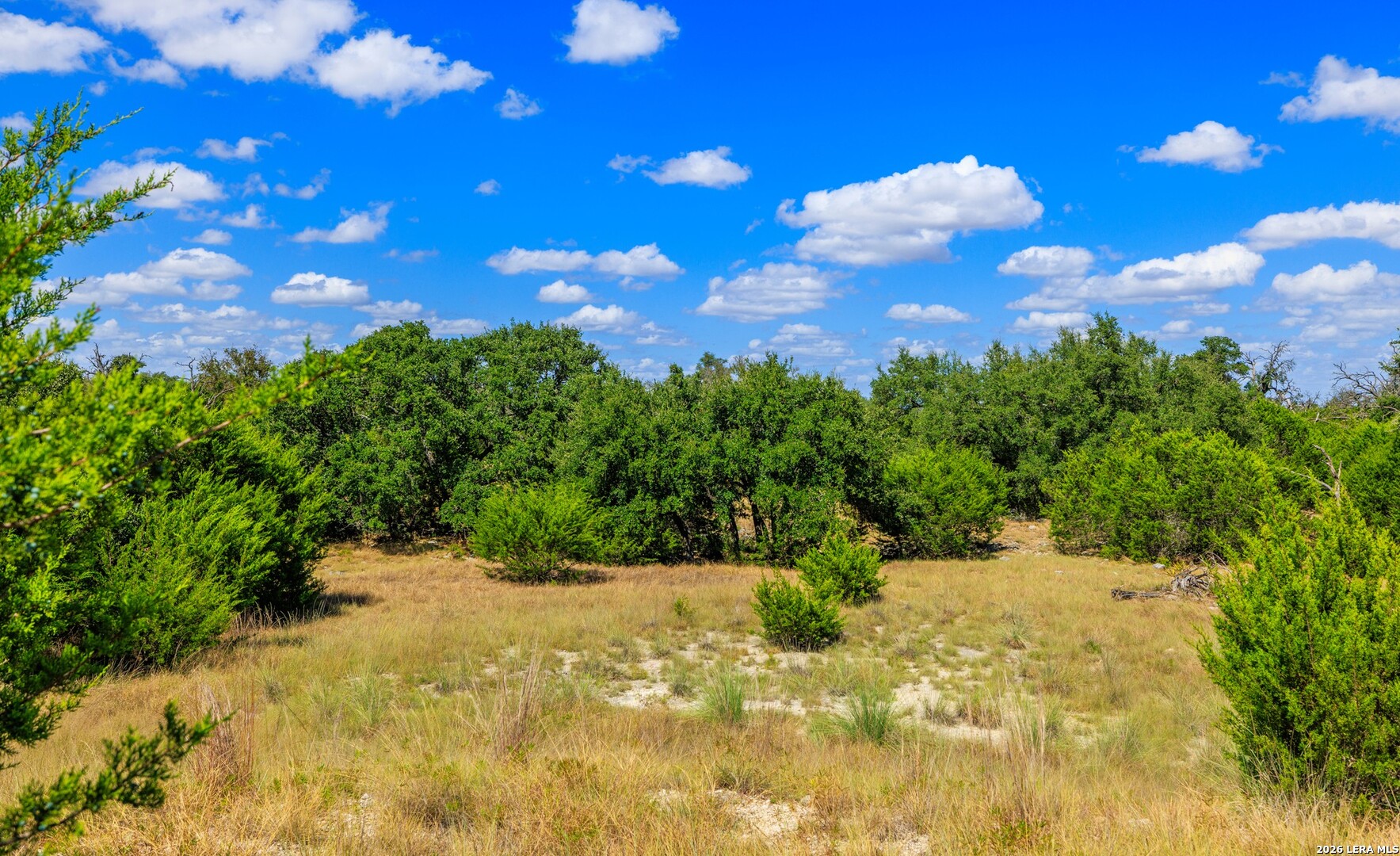 3395 Friedrich Road Fredericksburg, TX 78624 - Photo 17 of 25 Gallery Image 17