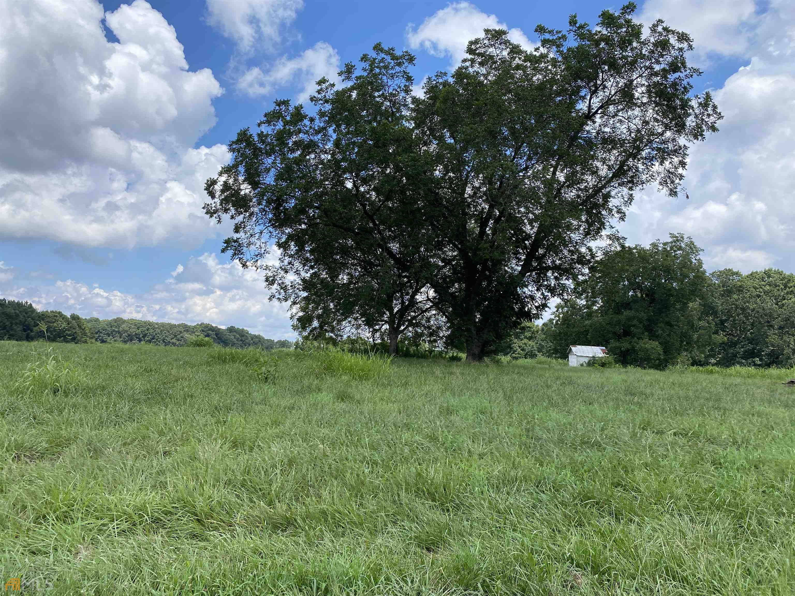 Tract5 Perkins Road Winder, GA 30680 - Photo 1 of 1 a view of a trees with a yard