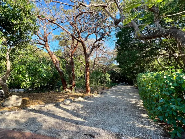 a bedroom with a large bed and a large window