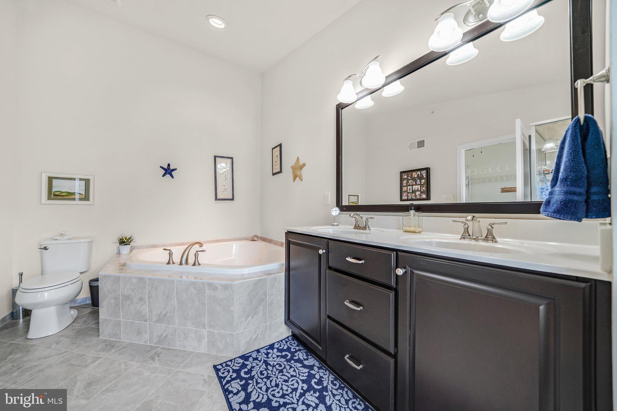 110 Jackdaw Alley Springfield, PA 19064 - Photo 27 of 40 Primary Bathroom