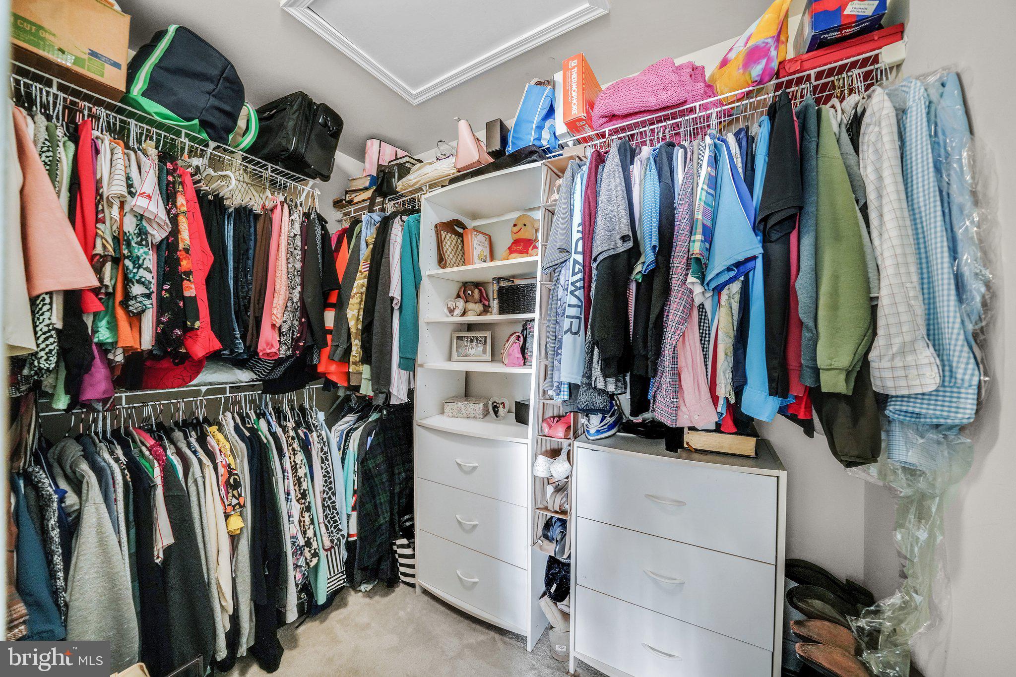 110 Jackdaw Alley Springfield, PA 19064 - Photo 29 of 40 Walk-in Closet