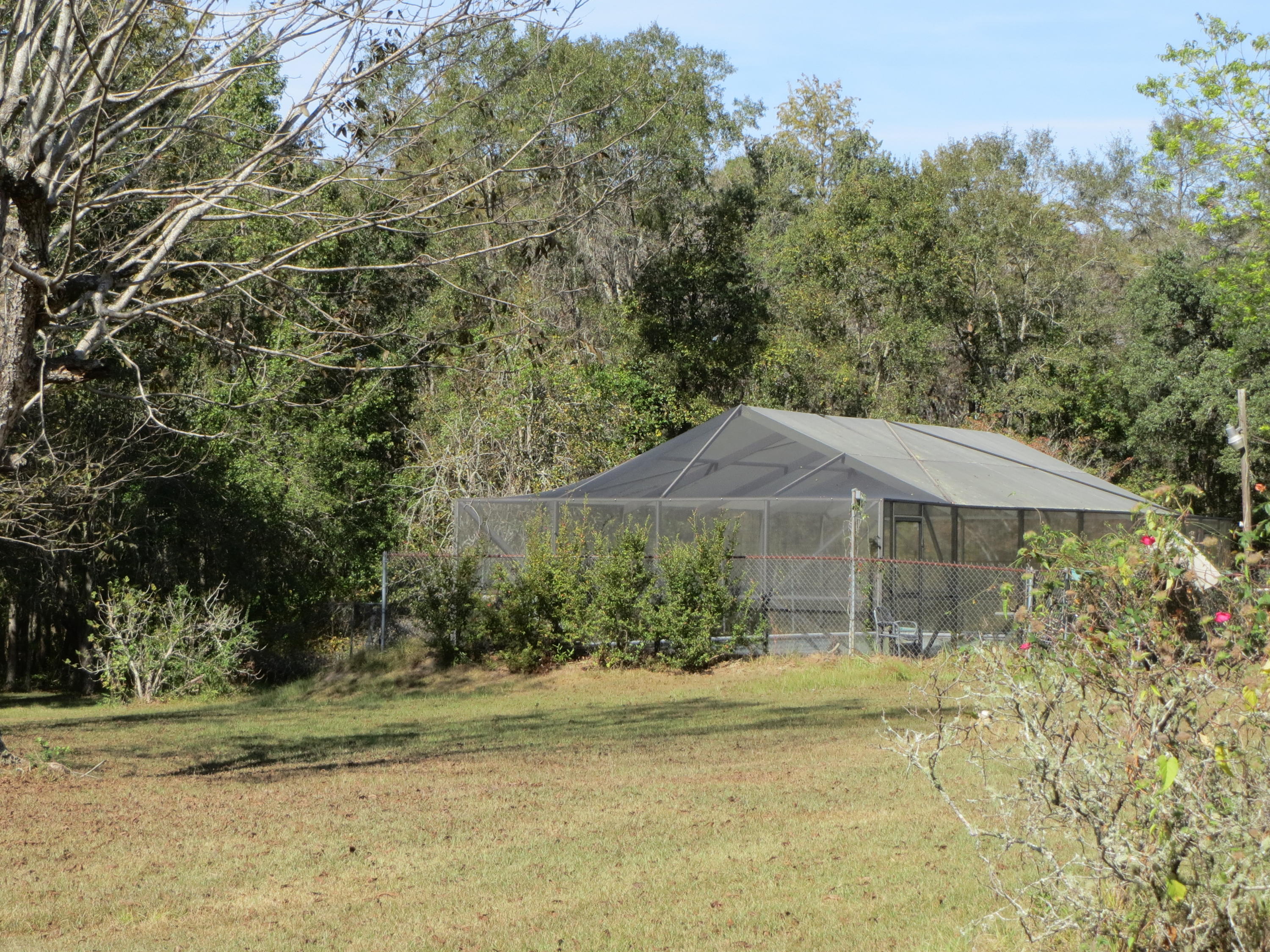 932 Tri County Road Graceville, FL 32440 - Photo 18 of 40 a small pool is sitting in the middle of a yard