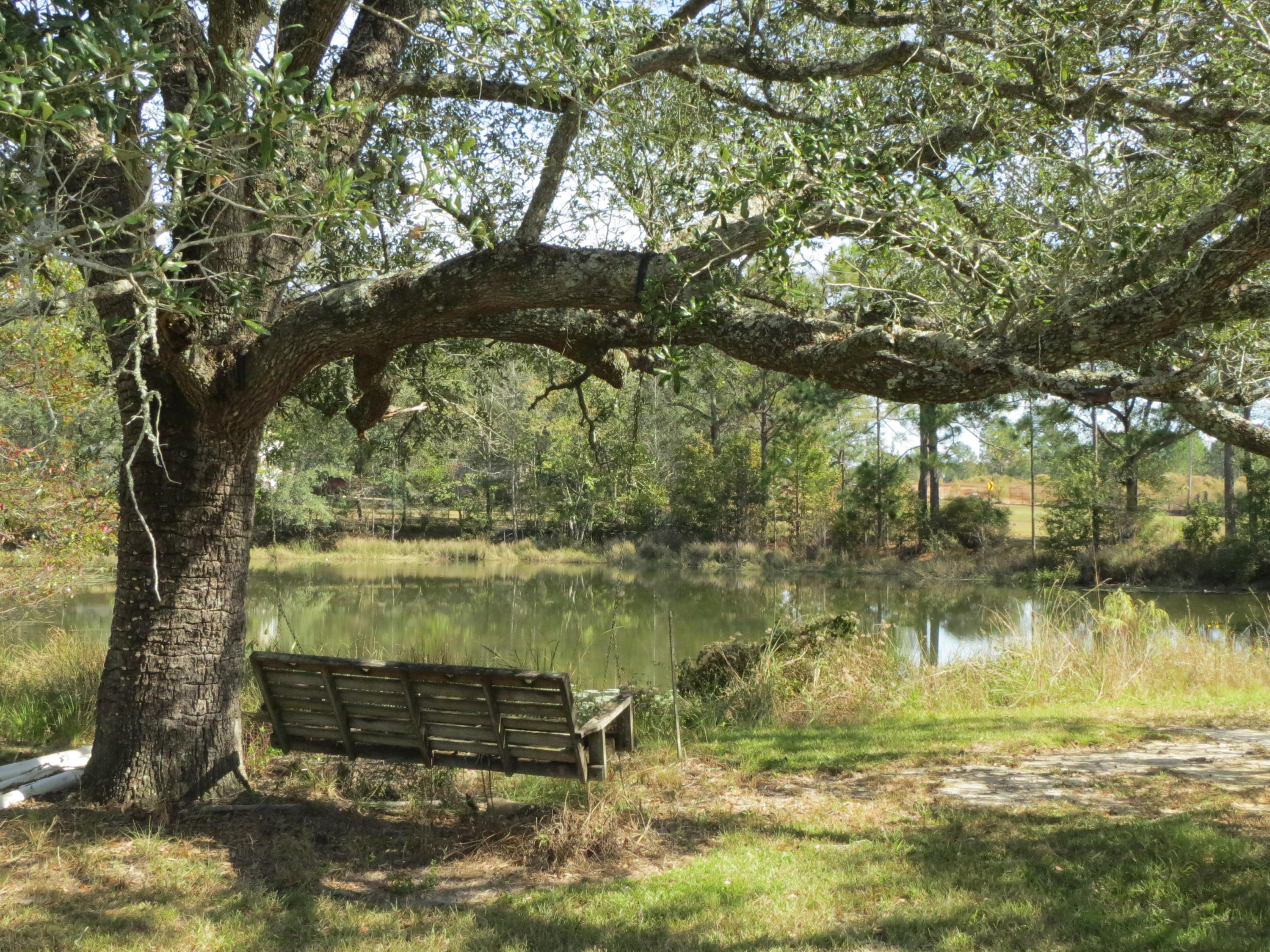 932 Tri County Road Graceville, FL 32440 - Photo 29 of 40 a view of a lake from a yard