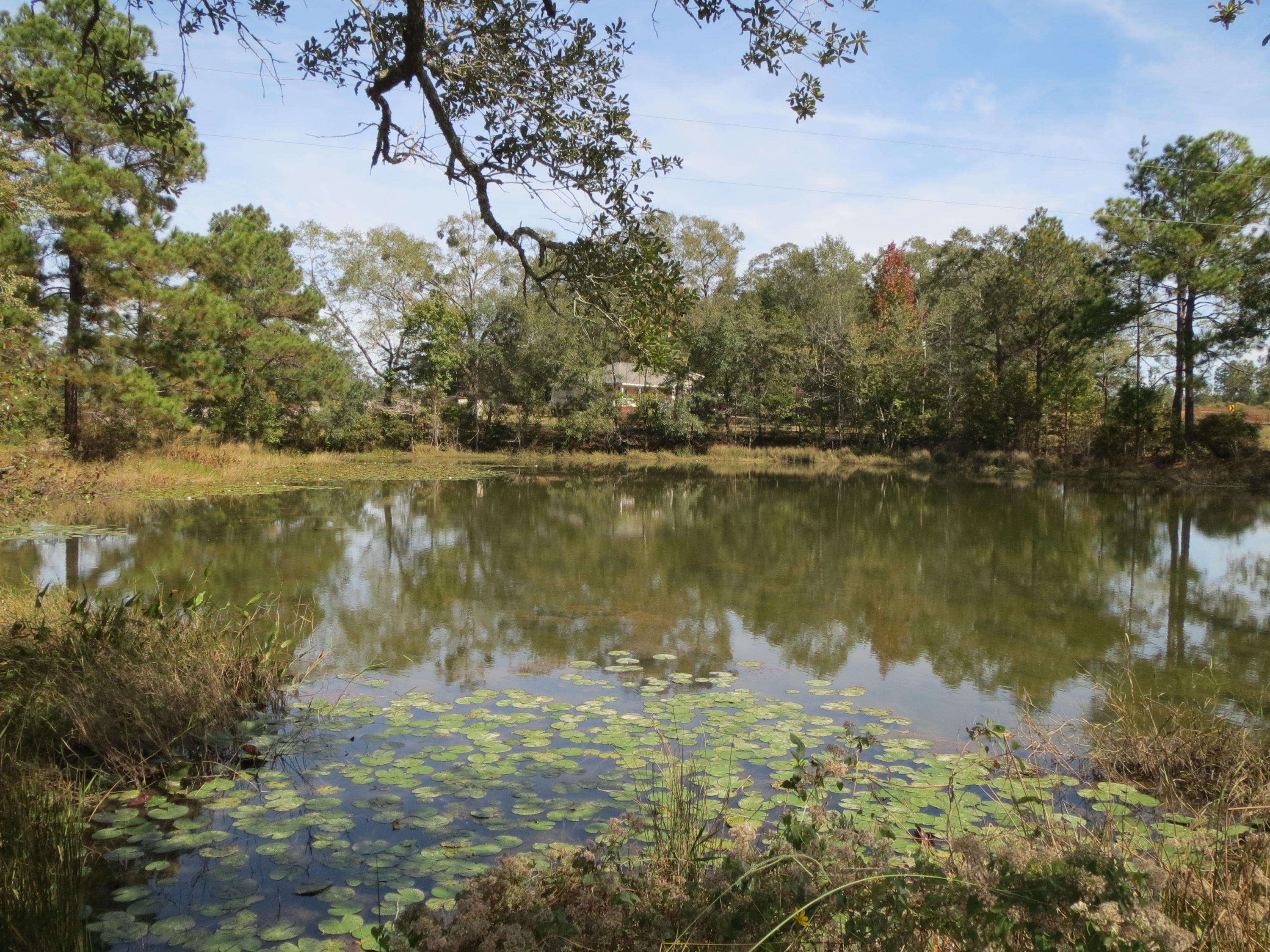 932 Tri County Road Graceville, FL 32440 - Photo 30 of 40 a view of a lake with houses in outdoor space