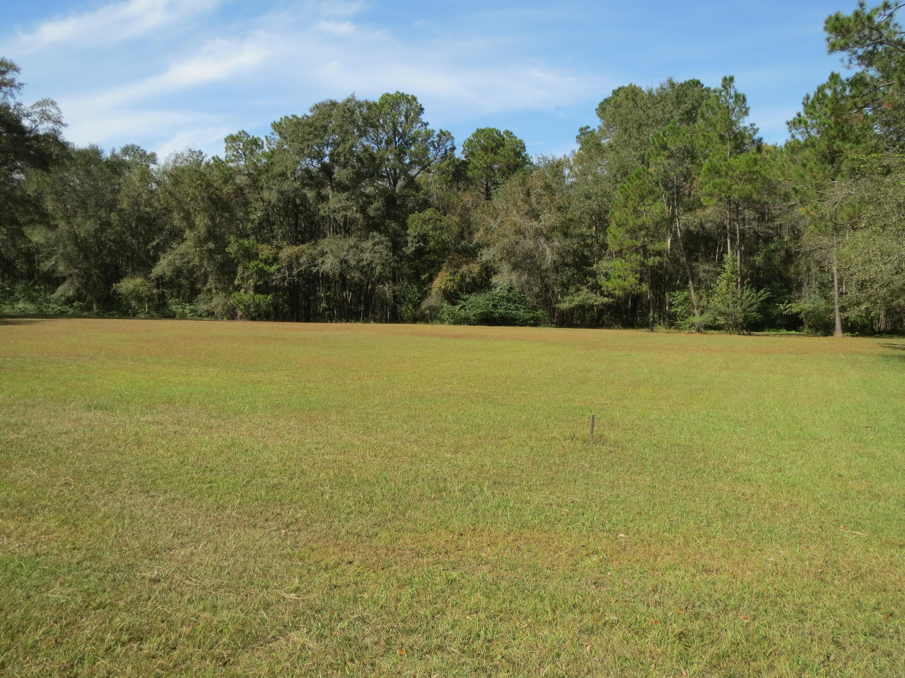 932 Tri County Road Graceville, FL 32440 - Photo 37 of 40 a view of yard with ocean and trees in the background