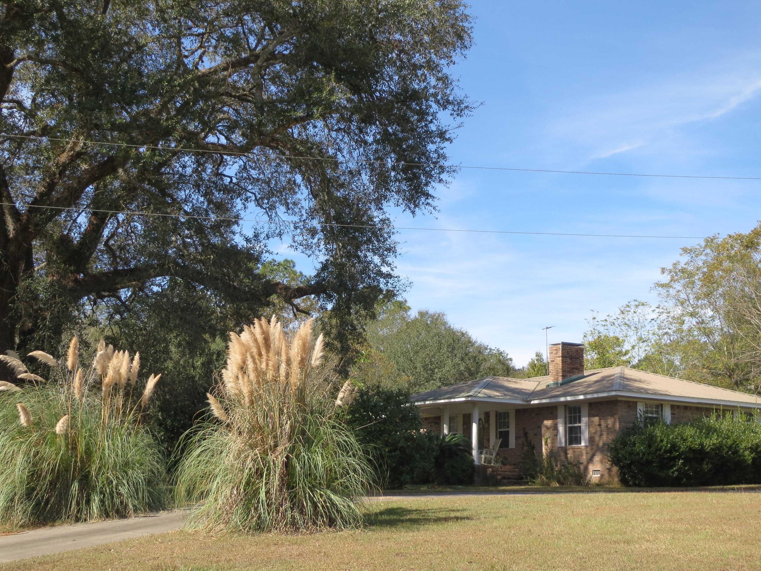 932 Tri County Road Graceville, FL 32440 - Photo 40 of 40 a front view of a house with a yard