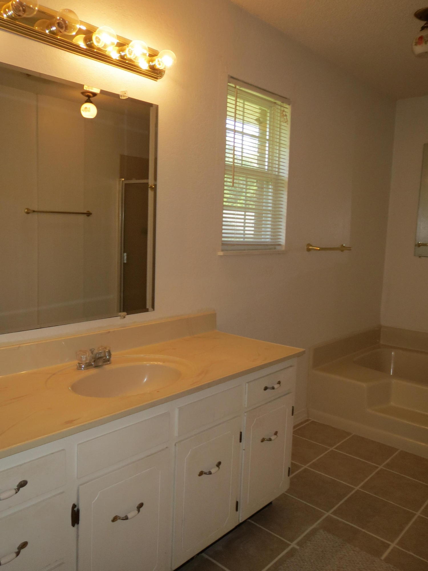 932 Tri County Road Graceville, FL 32440 - Photo 10 of 40 a bathroom with a tub sink vanity and granite