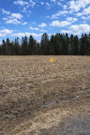 $24,900 | 0 Skinner Road, Richfield Springs, NY 13439