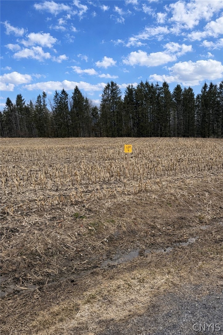 0 Skinner Road Richfield Springs, NY 13439 - Photo 1 of 2