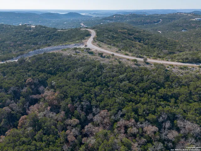 a view of a dry yard with trees