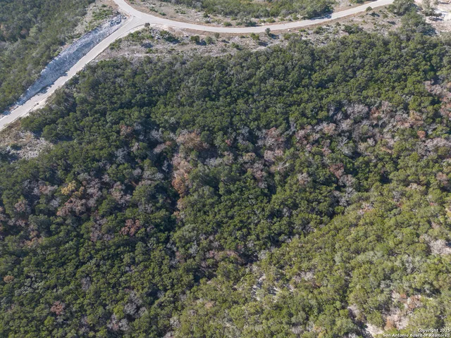 a view of a forest with a houses