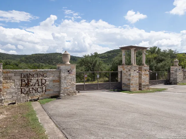 a view of a forest with a tree