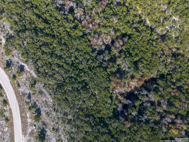 a view of a forest with a forest