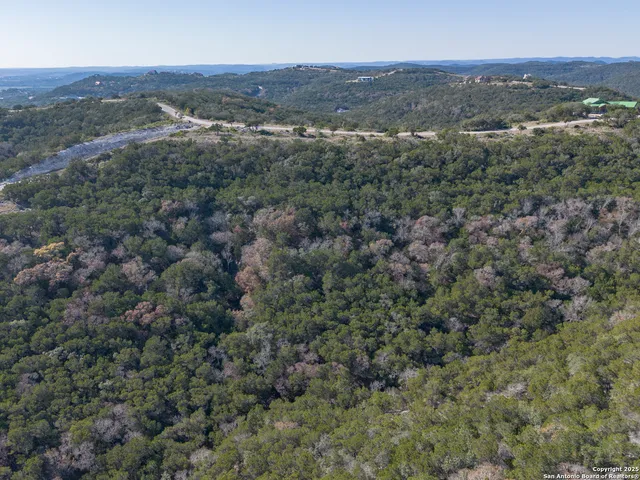 a view of a dry yard with lots of trees