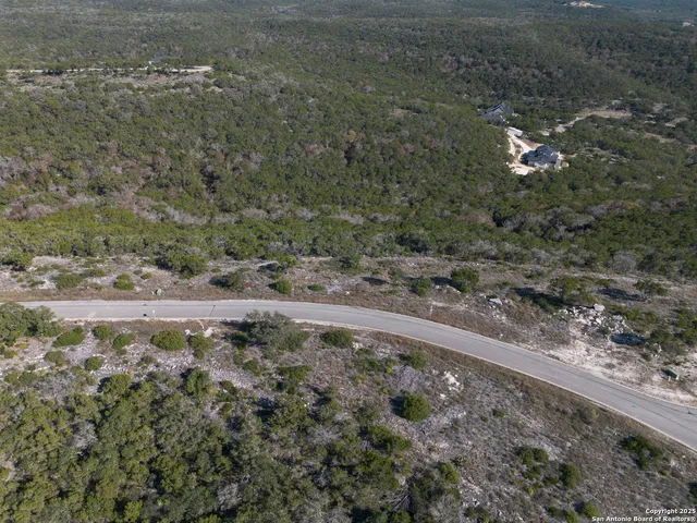 a view of a yard with plants and large trees