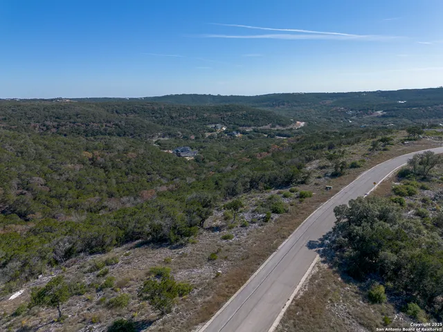 a close up of a plant