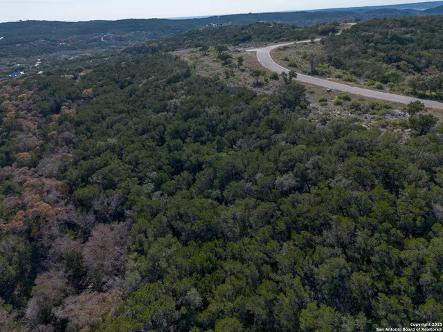 a backyard of a house with lots of trees
