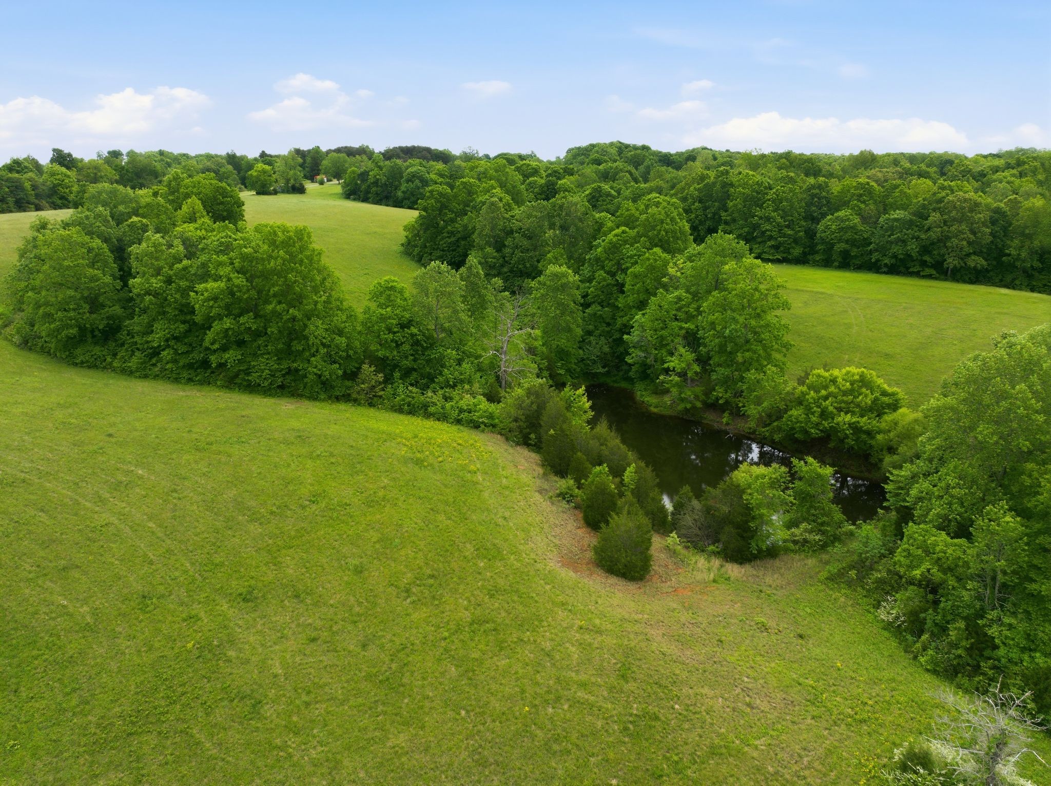 150 Mutt Road White Bluff, TN 37187 - Photo 17 of 48