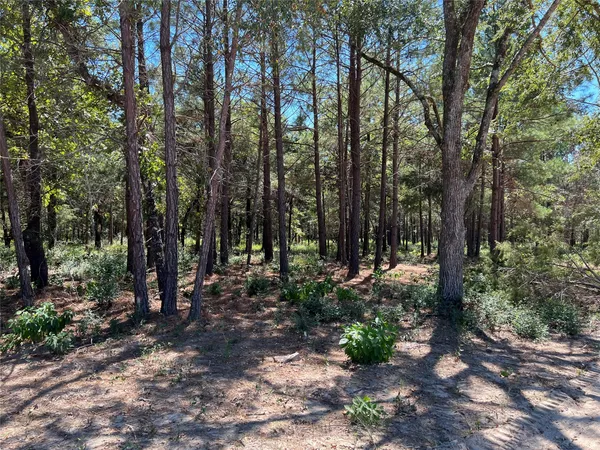 a view of a backyard of the house