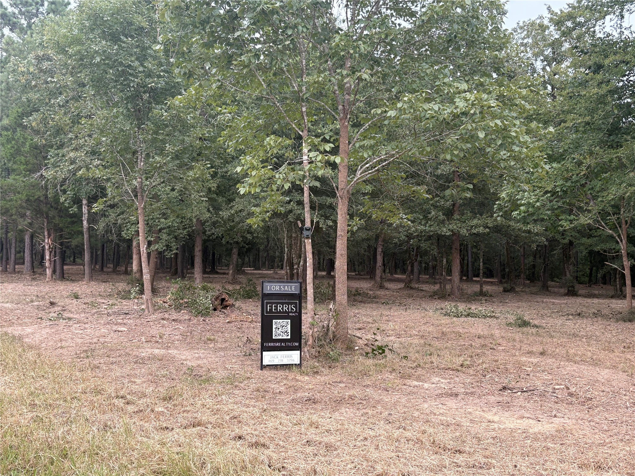 Lot 35 Fm 489 Fairfield, TX 75840 - Photo 7 of 8 a backyard of a house with large trees