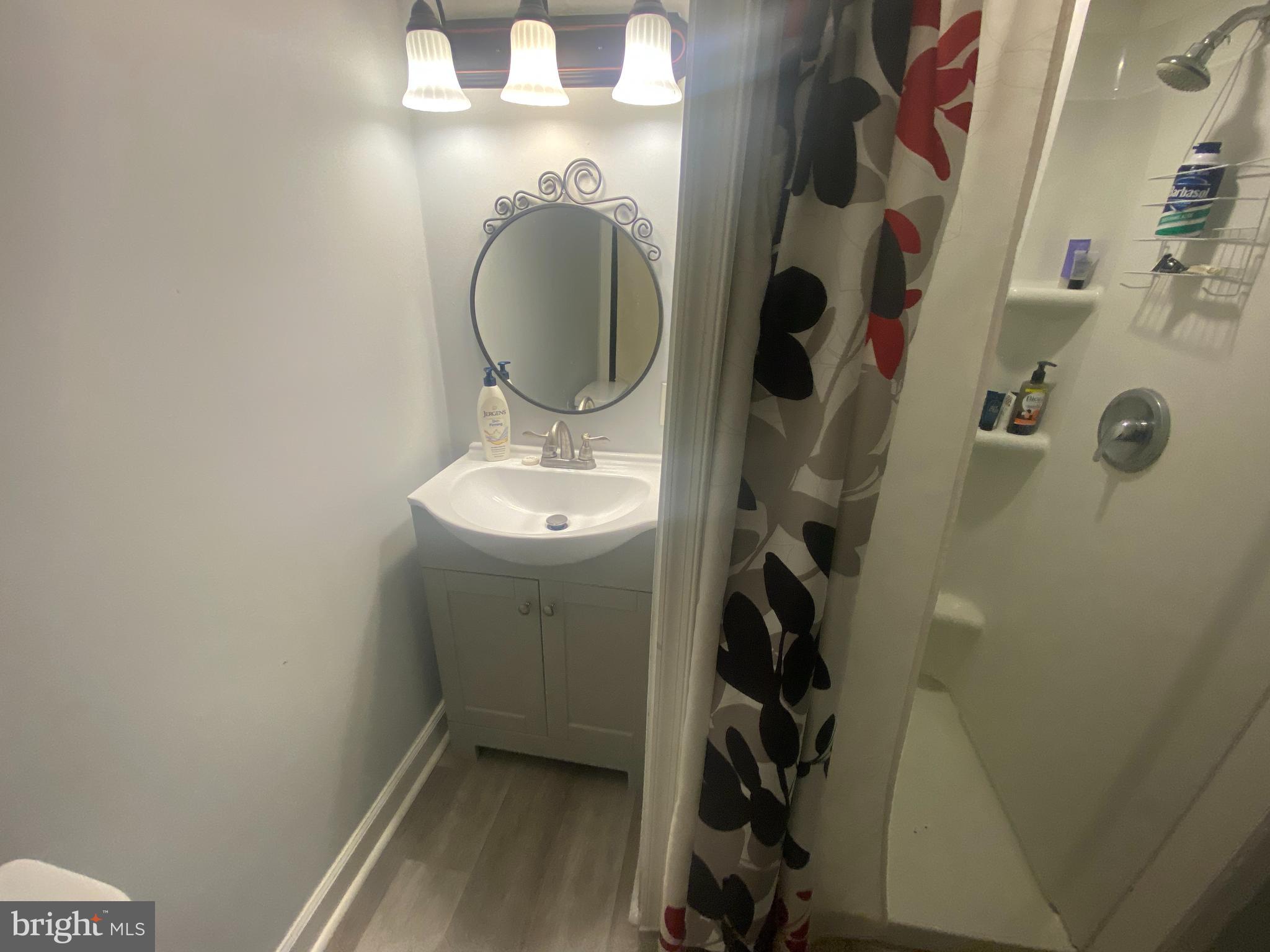409 Old Riverside Road Brooklyn, MD 21225 - Photo 19 of 34 Full Bath Alt. View