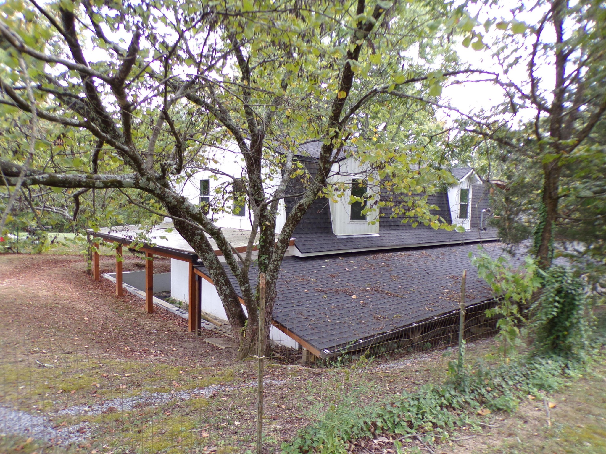 340 Grady Road Etowah, TN 37331 - Photo 2 of 34 a view of a backyard with a tree