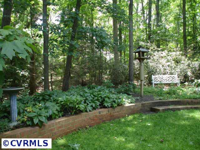 12005 Reeds Bluff Lane Midlothian, VA 23113 - Photo 3 of 10 a view of a back yard