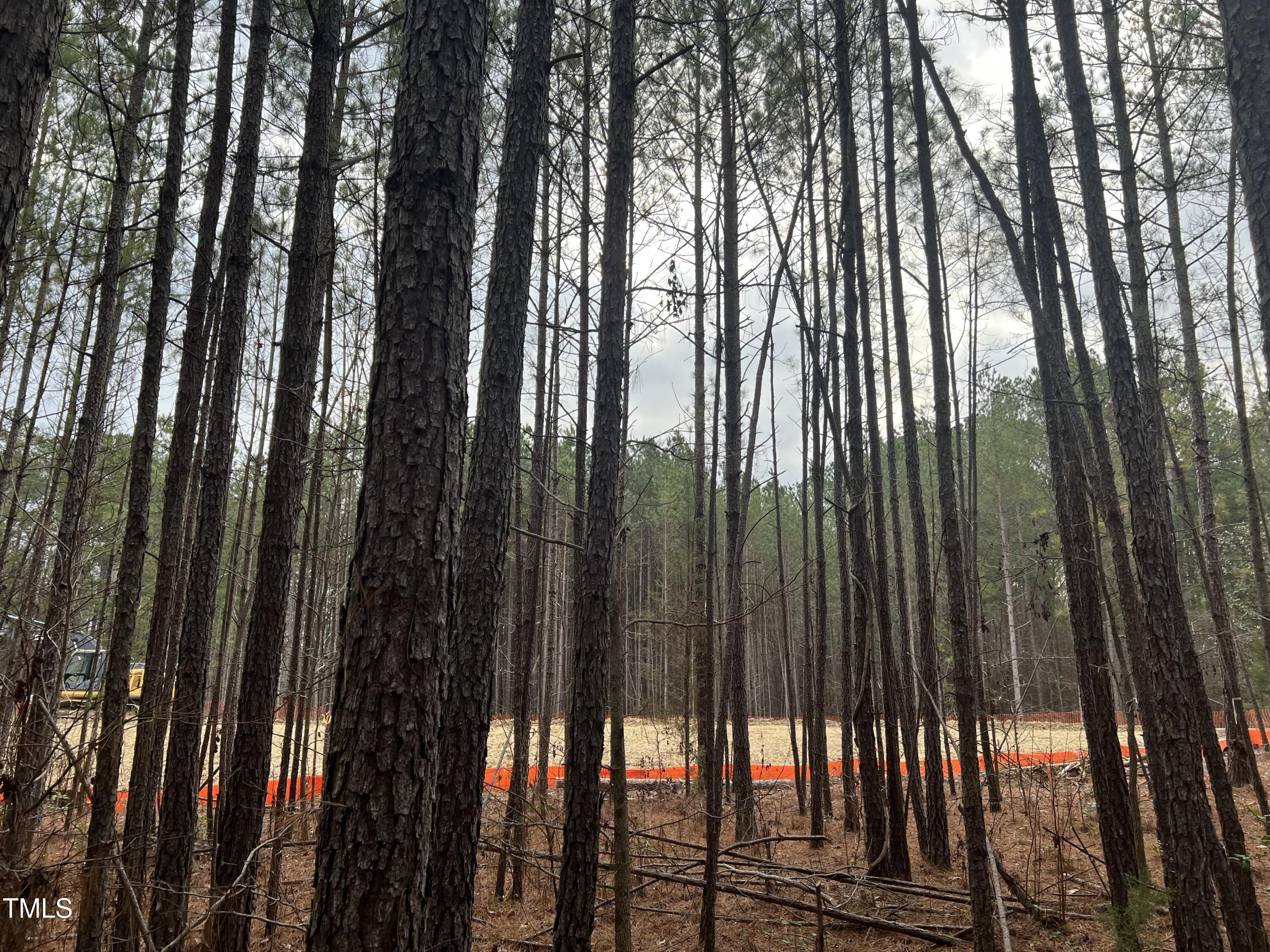 36 Anfield Road New Hill, NC 27562 - Photo 5 of 13 a view of outdoor space with swimming pool