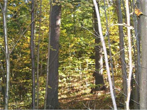 10-8 Notch View Road Thornton, NH 03223 - Photo 1 of 6 Gallery Image 1