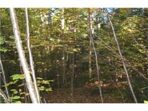 10-8 Notch View Road Thornton, NH 03223 - Photo 5 of 6 Gallery Image 5