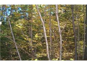 10-8 Notch View Road Thornton, NH 03223 - Photo 6 of 6 Gallery Image 6
