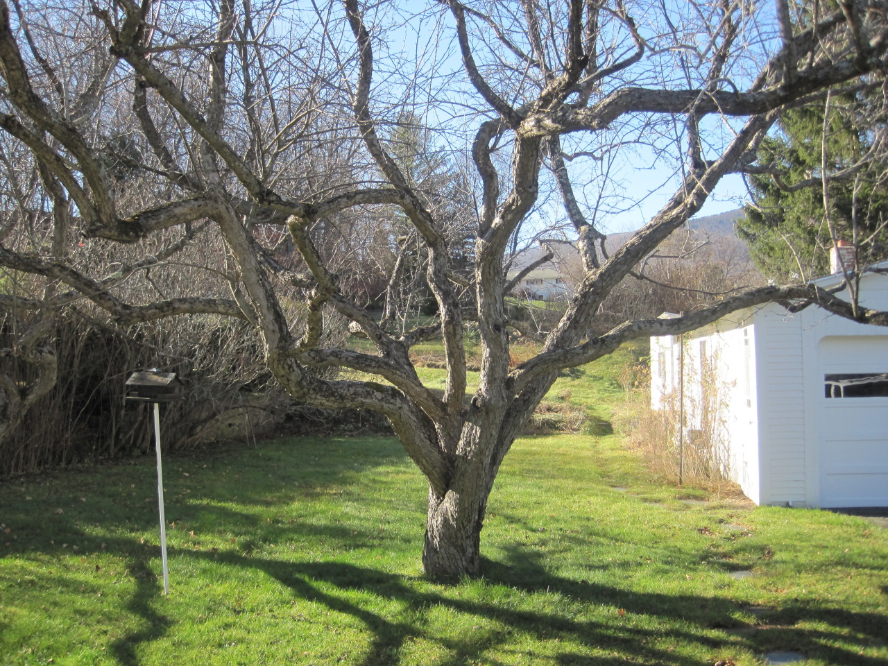 29 Harding Avenue Adams, MA 01220 - Photo 9 of 9 29 Harding Avenue