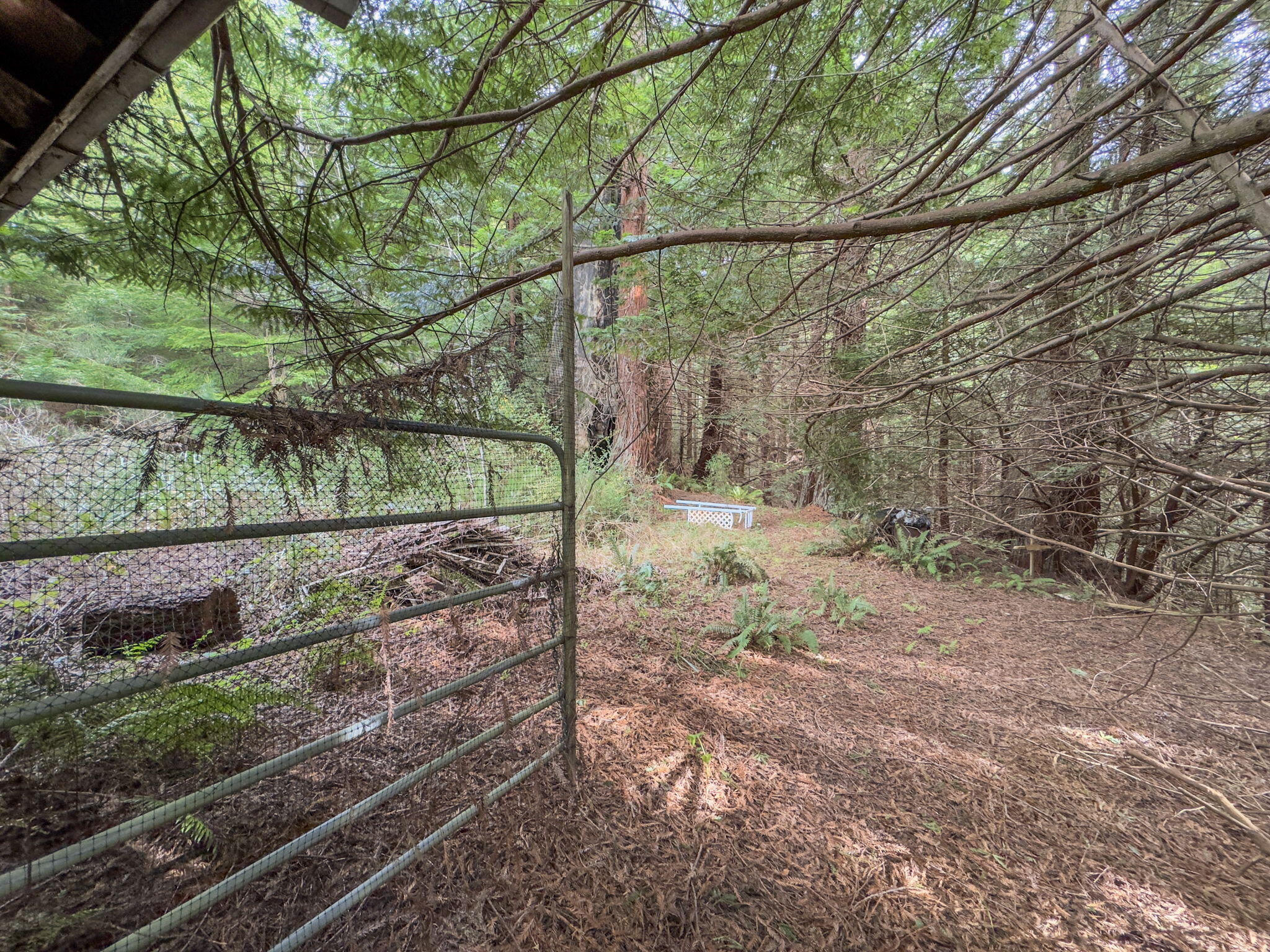 5430 Cummings Road Freshwater, CA 95503 - Photo 19 of 88 19-web-or-mls-642DFE62-B5B4-42DF-A13D-52
